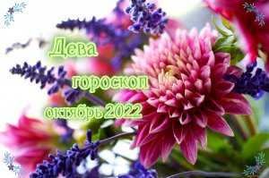 Дева! Гороскоп на октябрь 2022 года!