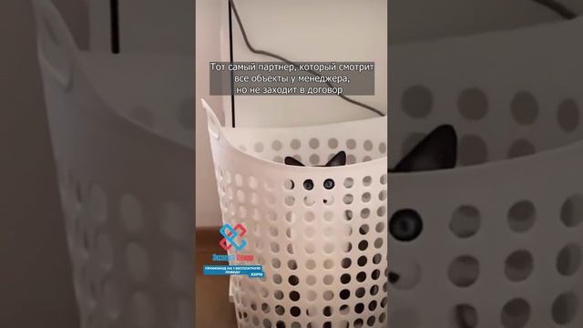 Партнер, который много сомневается в тендерах