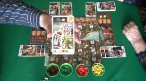 324 Century : A New World - играем в настольную игру.