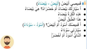 Начните сейчас! Арабский язык для начинающих. Урок 259