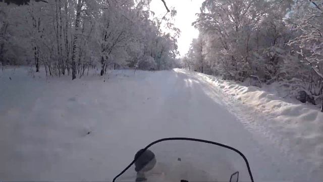 Сказочный лес и снегоход смотреть онлайн