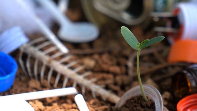 ЧТО будет если КАЖДЫЙ посадит одно дерево