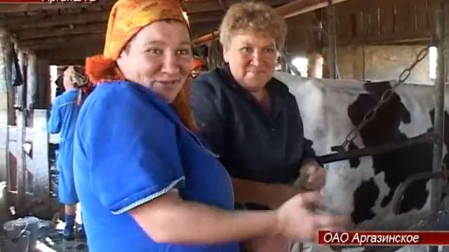 Аргазинские доярки со стажем прошли все этапы модернизации фермы