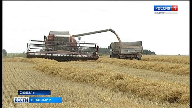 Суздальский район юбилей смотреть онлайн