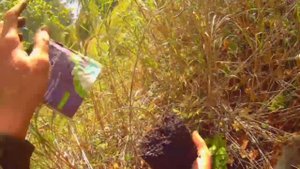 Байкальск река Солзан, посадка канадских клёнов на водопаде.