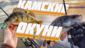 КАМСКИЕ ОКУНИ НА УЛЬТРАЛАЙТ. Микроджиг летом. Рыбалка на Каме. Набережные Челны