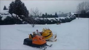 Эволюция снегоходов Ski-Doo. с 1965 по наст. время