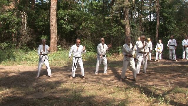 Хаппорен. Ветераны. 39-й экзамен по каратэ. Харьков-2019 Karate смотреть онлайн