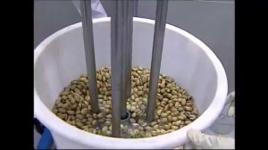 Как это сделано Сбор фисташки. How It’s Made Pistachio Harvest.