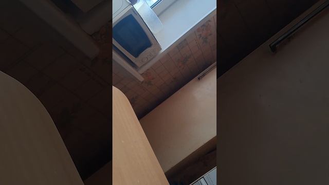 топки.заливают очередной раз  соседи кватиранты.квартира  муниципальная по договору соц.найма .