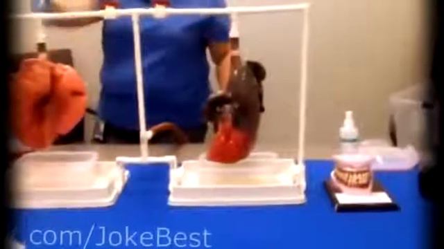 САМОЕ НОВОЕ И ЛУЧШЕЕ ЧТО ЕСТЬ В МИРЕ! смотреть онлайн