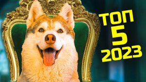 ТОП 5 ЛУЧШИХ СЕРИЙ 2023 года!! (Хаски Бублик) Говорящая собака Mister Booble