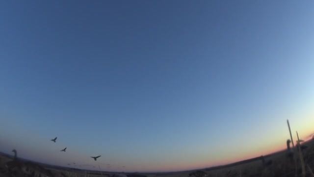 День закрытия сезона,мастер класс!!! смотреть онлайн