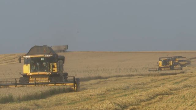 Ход уборочных работ в КФХ «Сулейманов» осмотрел глава Нурлатского района смотреть онлайн