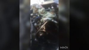 замена цепи ГРМ Дайхатсу