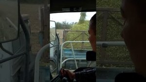 заготовка силоса
