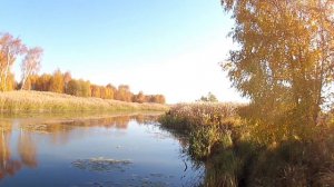 Осенняя рыбалка на Щуку. 17.10.2018. Цикл "Отец и Сын" (Ловля на спиннинг и кружки).