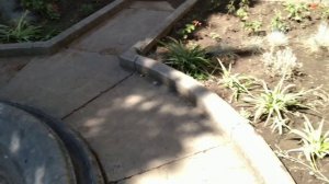 Античная беседка в имении Харакс