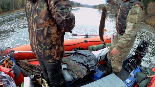 Ленок щука окунь на спиннинг в сентябре на реке Чуна