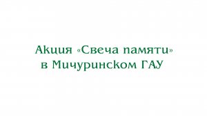 Акция «Свеча памяти» в Мичуринском ГАУ