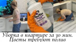 Уборка в квартире за 30 мин. Цветы требуют полив.
