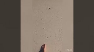 Iberostar Selection Playa Pilar сентября 2019 отзыв Куба