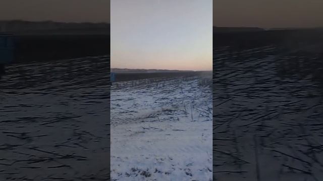 КАК у НАС развивается СЕЛЬСКОЕ хозяйство. 14.01.2018