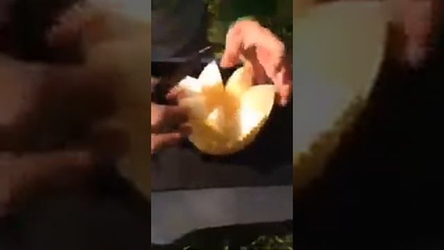 Ваза из дыни смотреть онлайн