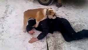 Собака трахает человека / The dog fucking man in ass
