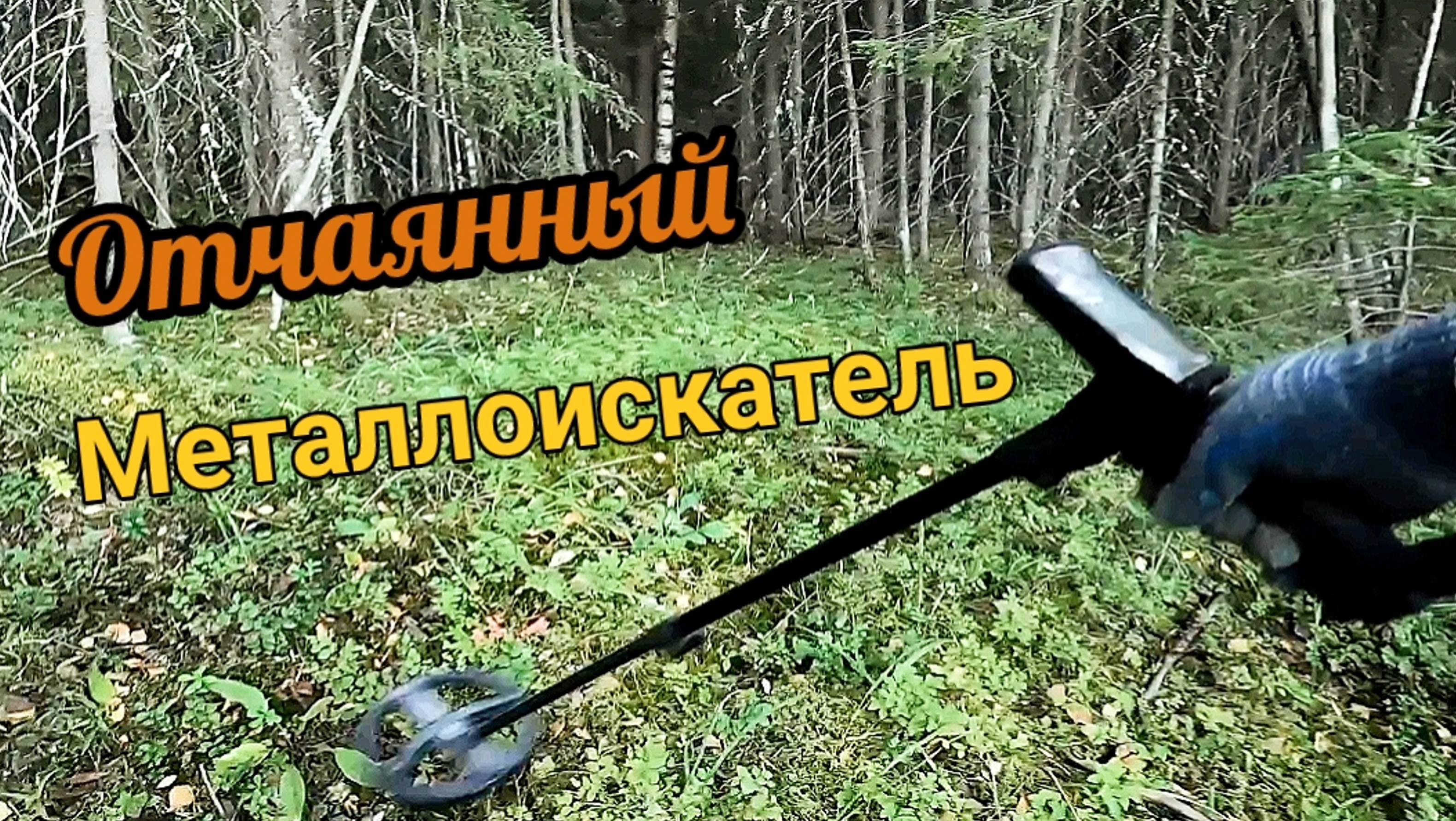 В поисках  бесценного металлолома у границы старого леса .