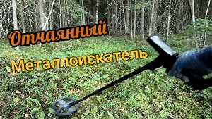 В поисках  бесценного металлолома у границы старого леса .