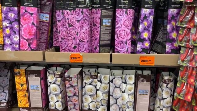 ОБИ. БЕЛАЯ ДАЧА. МОСКВА. 25.02.20 вторая часть. смотреть онлайн