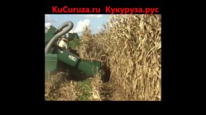 Прицепной кукурузоуборочный комбайн, комбайн для уборки кукурузы навесной