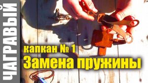 Капкан №1 - ЗАМЕНА ПРУЖИНЫ. SPRING REPLACEMENT in a trap.