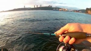 Рокфишинг под Русским мостом.Морская рыбалка во Владивостоке. Камбала,скумбрия
