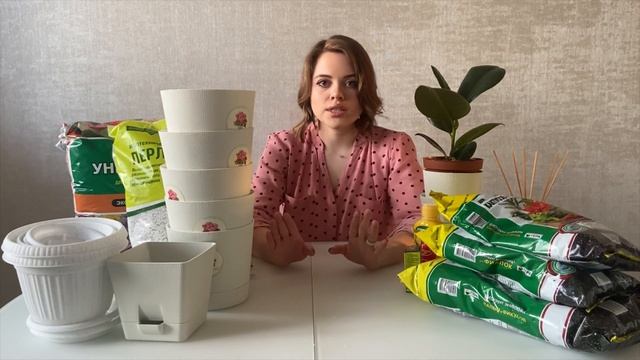 ЛЕРУА МЕРЛЕН | Онлайн-заказ | Пересадка фикуса смотреть онлайн