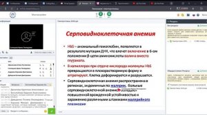 биохимия  гемопротеины — Яндекс Браузер 2020 04 14 12 00 57