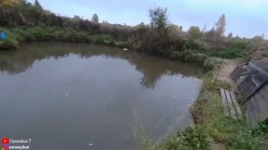 Свой пруд на даче. Ловим раков на карася. Пруд на участке с рыбой и раками своими руками.