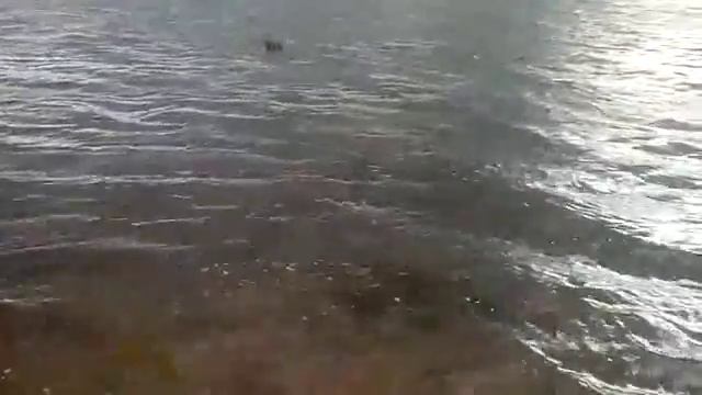 Озеро Сенно