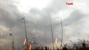 Туш табири - Тушда Муштлашув куриш
