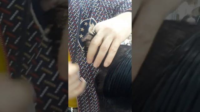 Стрижка тодчука 1 смотреть онлайн