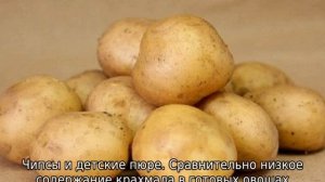 Картофель Колобок