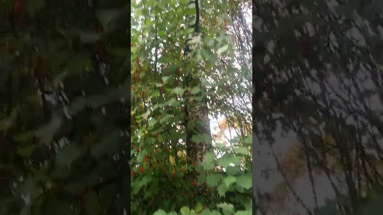 23 сентября 2022 г. смотреть онлайн