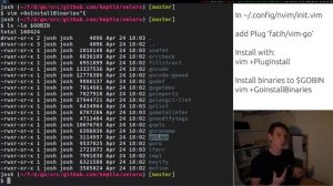 Vim as a Go (Golang) IDE using LSP and vim-go