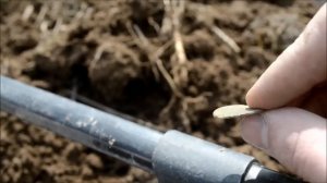 КОПАЕМ ЧЕШУЮ и МОНЕТЫ XP DEUS