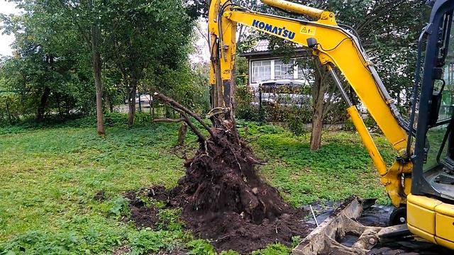 Клык-рыхлитель смотреть онлайн