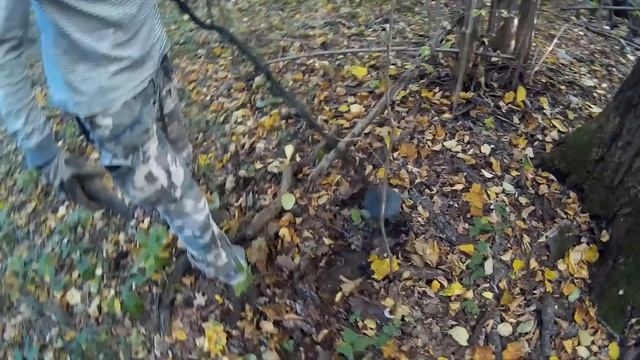Нереальные находки в подмосковном лесу! Просто повезло!