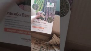 Отзыв на саженцы из питомника Росток