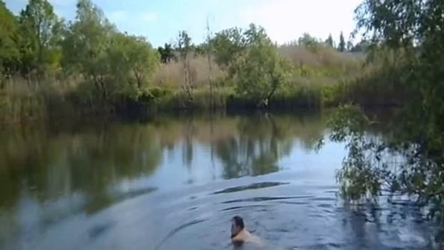 Родного края дивный уголок. Авторский ролик. Валентина-Тина Осипенко. 11.05.2016г. смотреть онлайн