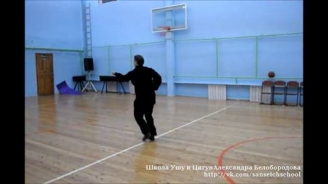 Комплекс синьицюань: ву син лиень хуань цуань (五形连环拳). Алнксандр Белобородов